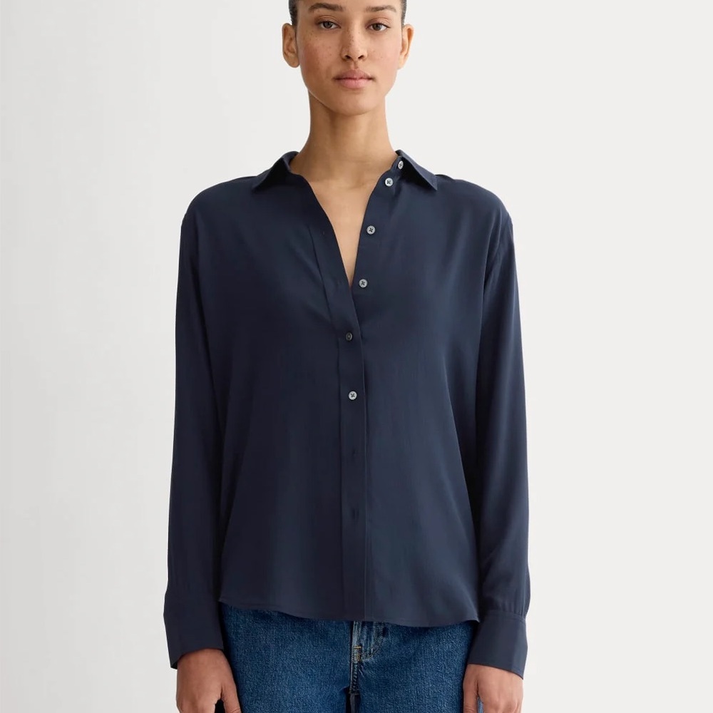 Everlane Blue Silk Shirt